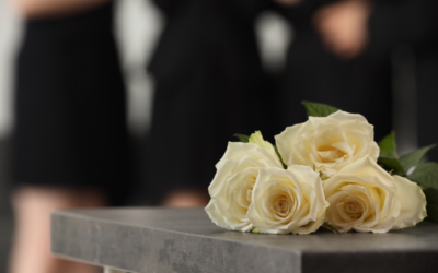 What Is a Cremation Chamber and How Does It Work?